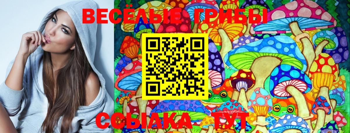 Галлюциногенные грибы MAGIC MUSHROOMS  Вход с VPN  Новокузнецк  Псилоцибиновые грибы Psilocybine cubensis 