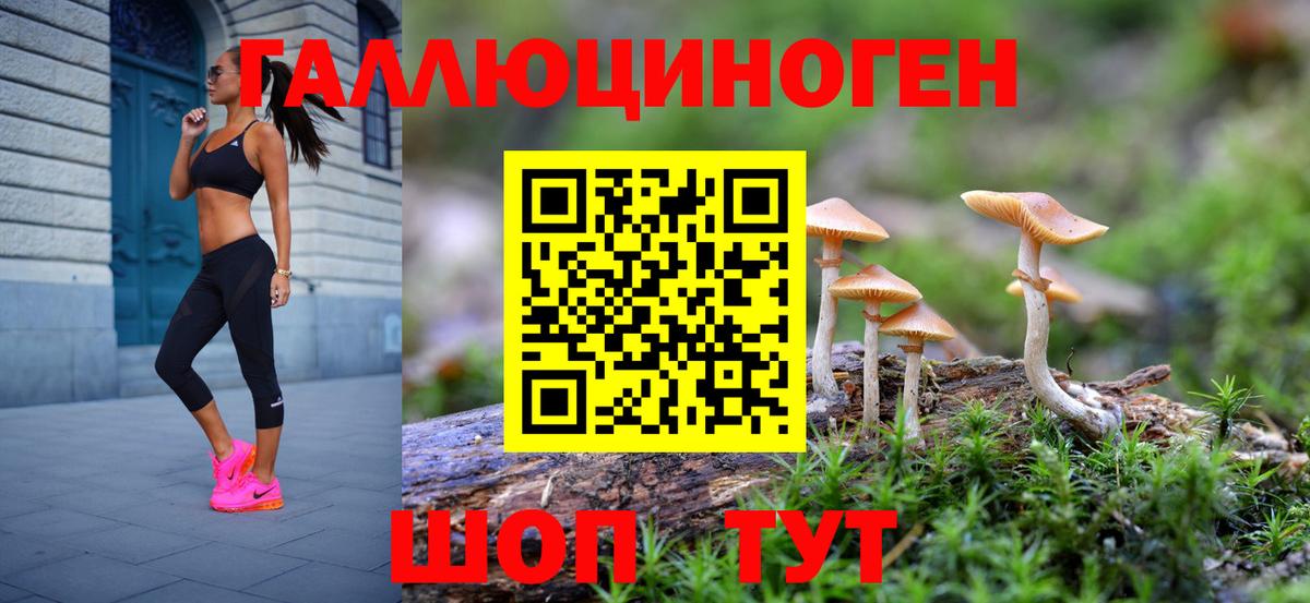 Галлюциногенные грибы Psilocybe Новокузнецк