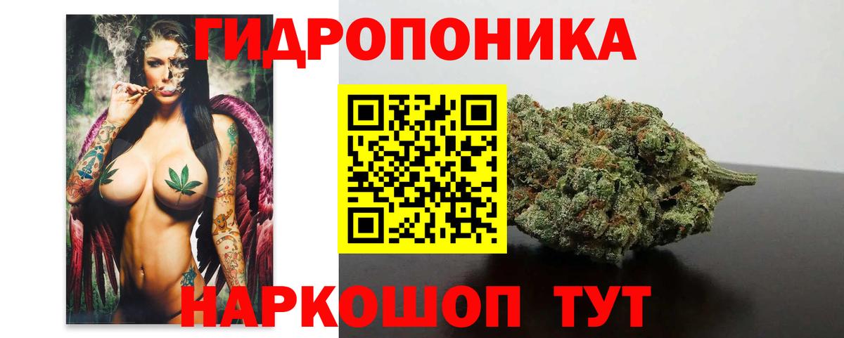 Конопля гибрид Новокузнецк